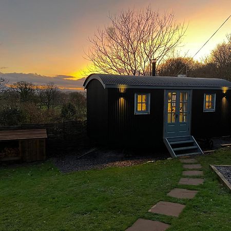 Mountain View Shepherd'S Hut For 2 Adults, 1 Dog Villa Llangoed Exterior photo