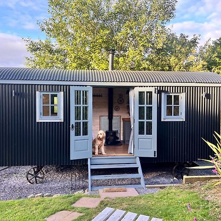 Mountain View Shepherd'S Hut For 2 Adults, 1 Dog Villa Llangoed Exterior photo